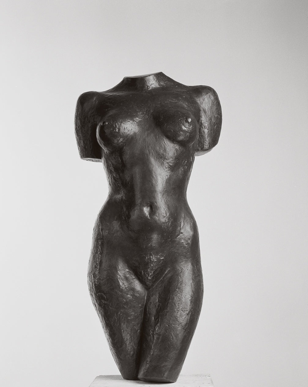 Torso 2008